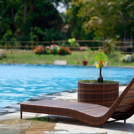 Jungle Villa Resort - Near Chitwan National Park Bagian luar foto