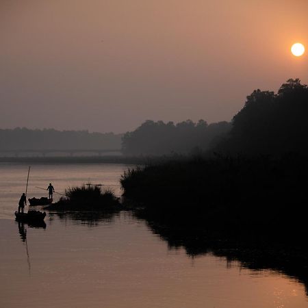 Jungle Villa Resort - Near Chitwan National Park Bagian luar foto